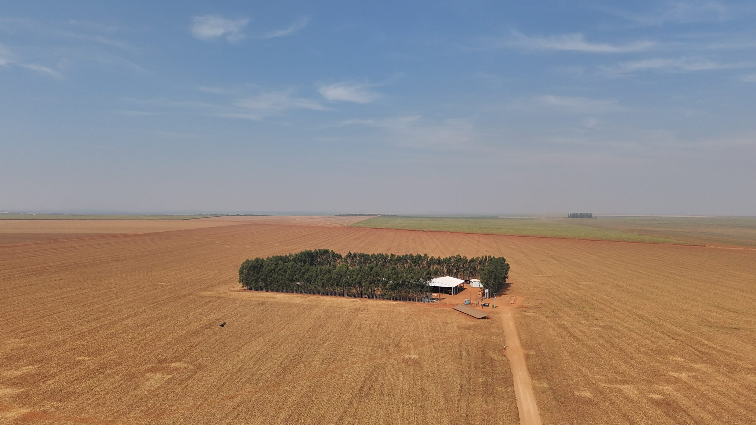 DJI_20240813152404_0097_D-min