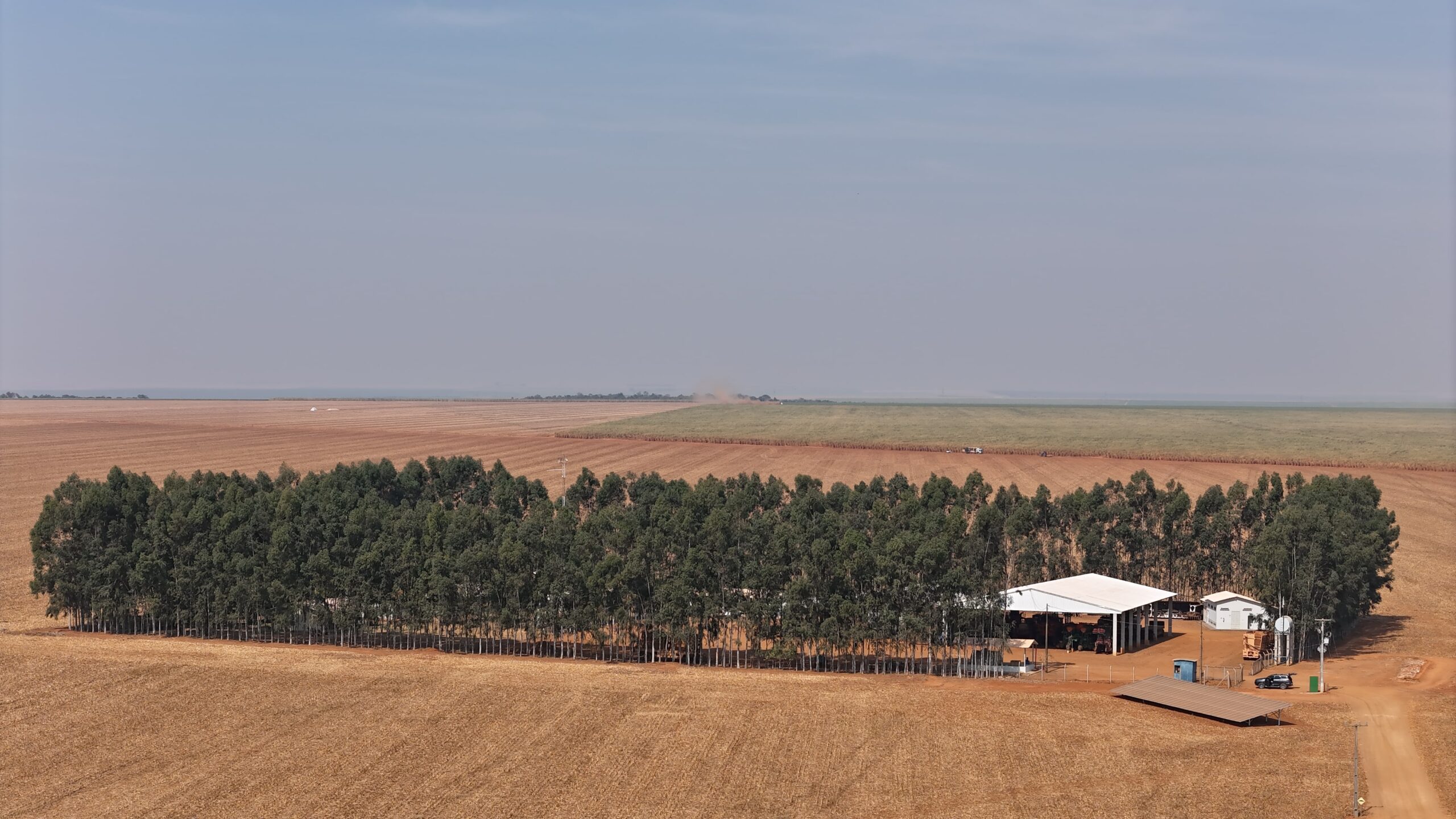 DJI_20240813152448_0098_D-min