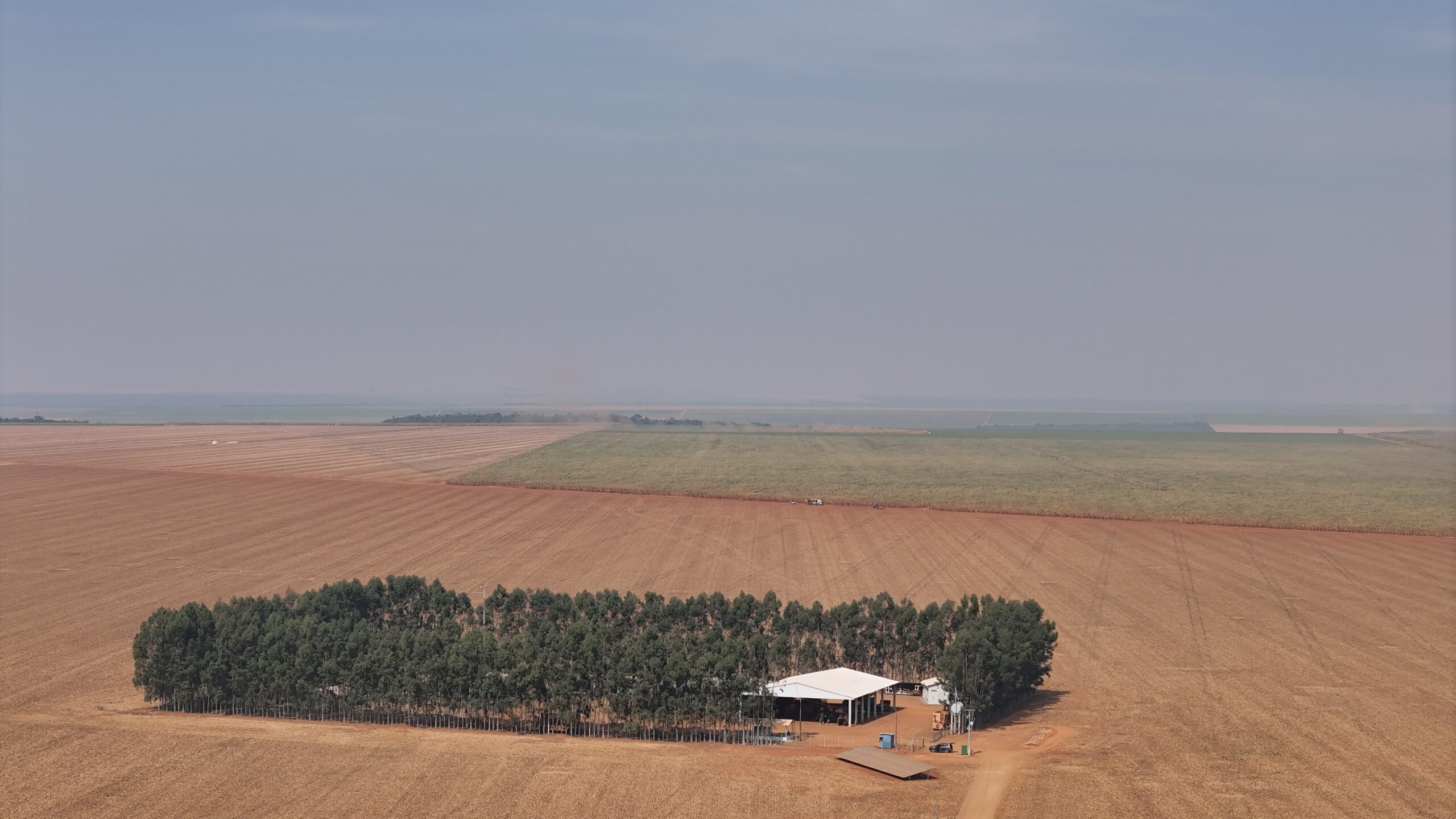 DJI_20240813152536_0099_D-min