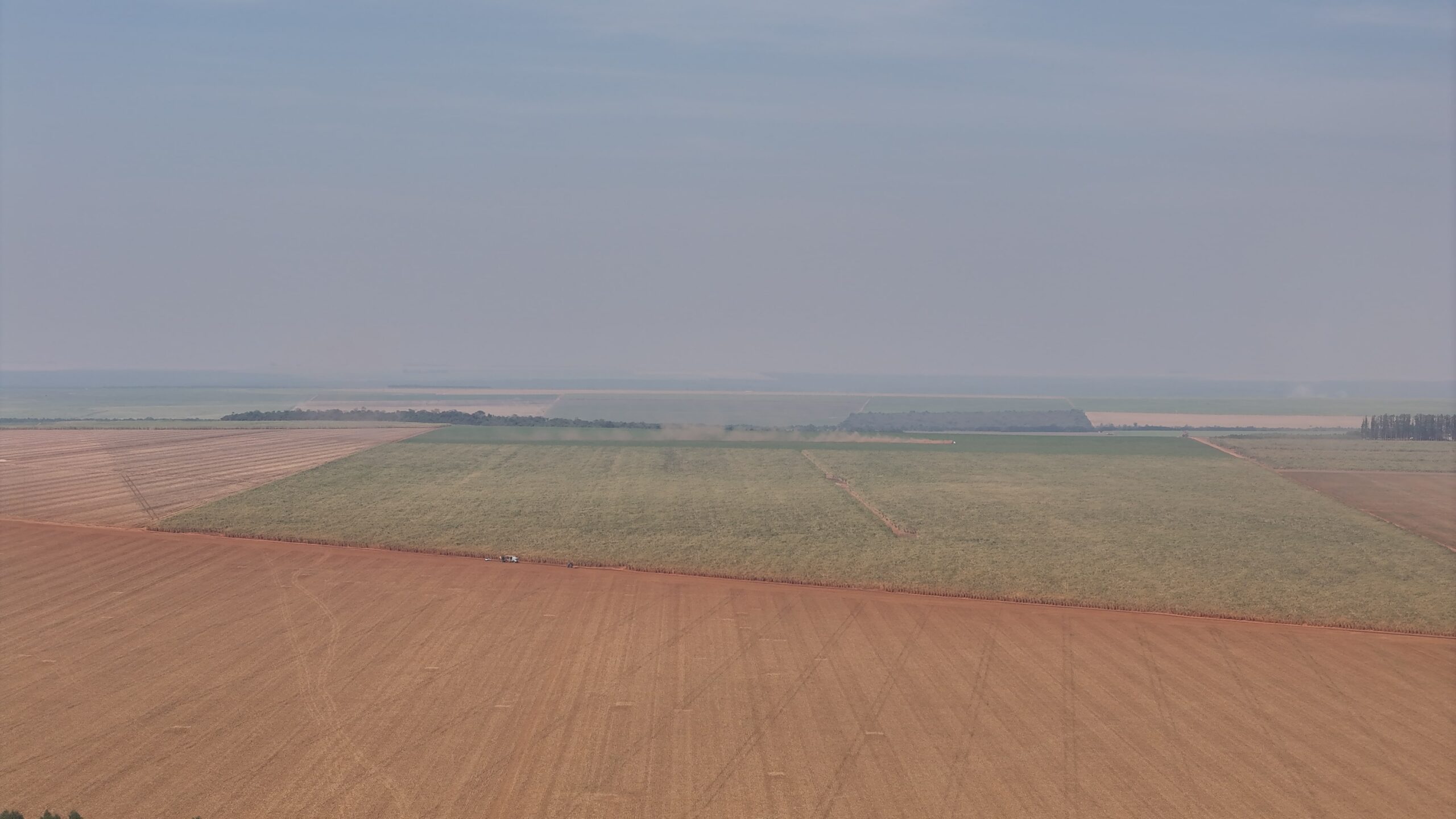 DJI_20240813152606_0100_D-min