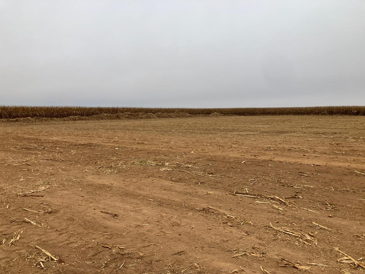 PHOTO-2024-05-20-15-24-17