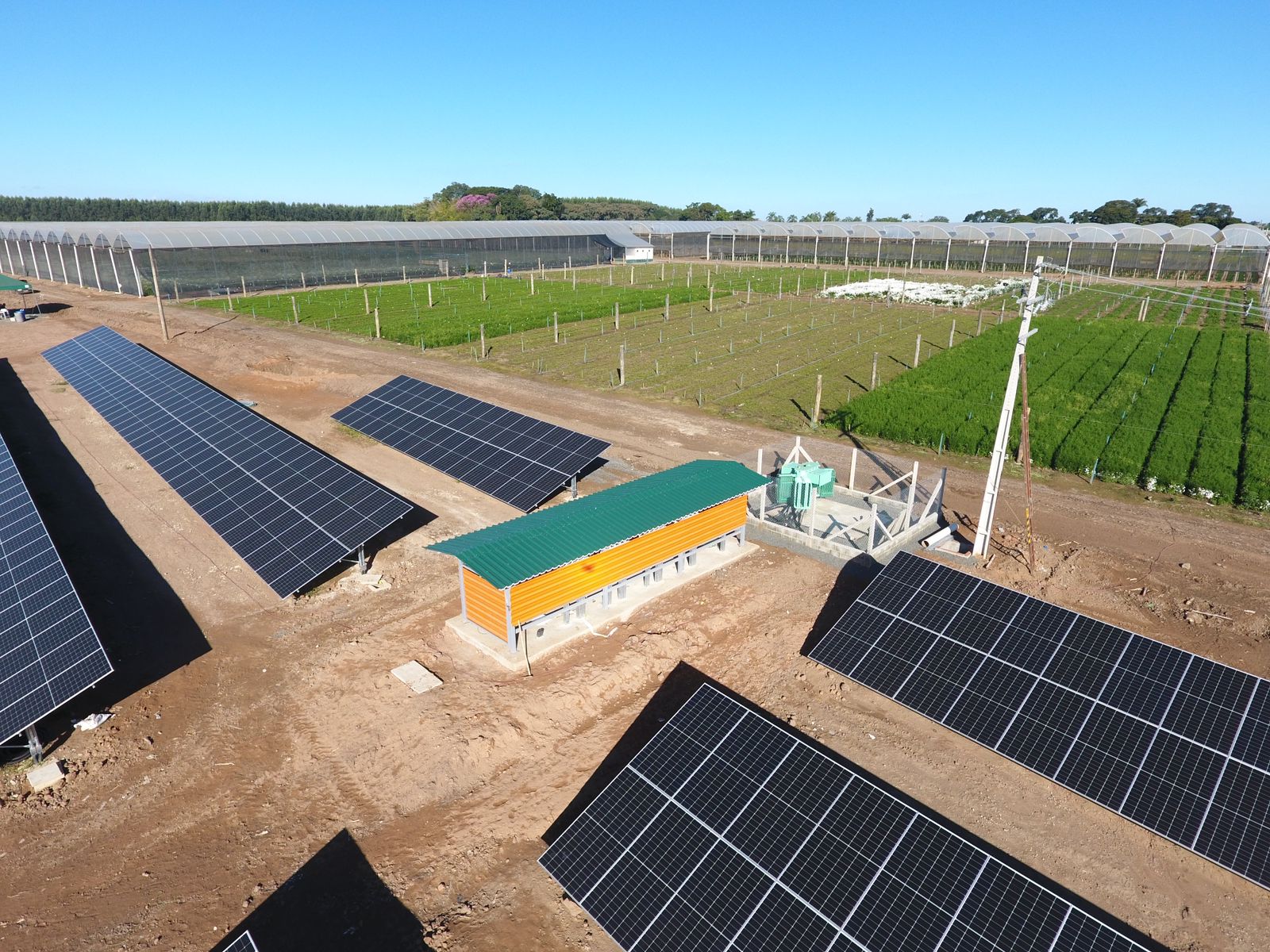 co╠üpia de WhatsApp Image 2024-02-28 at 19.34.31 (1)