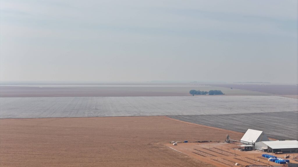 dji_fly_20240813_101304_0079_1723558073870_photo