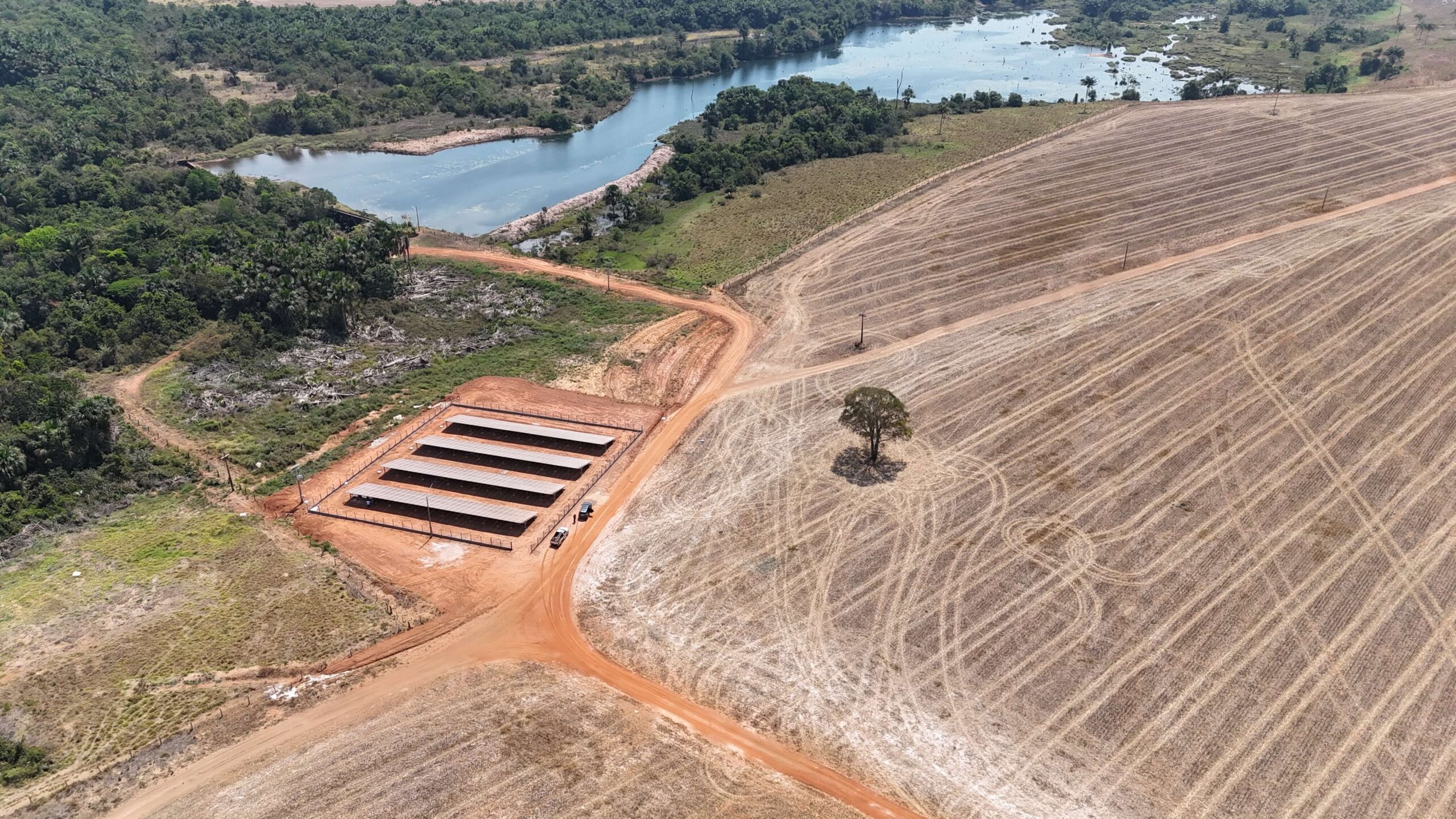 dji_fly_20240815_125926_0126_1724068008244_photo