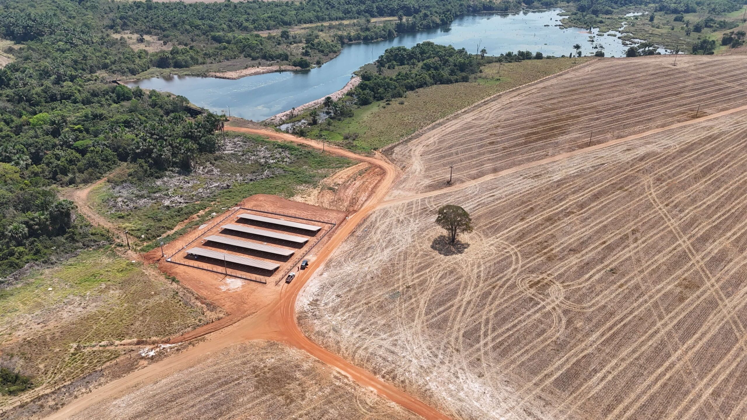 dji_fly_20240815_125932_0127_1724068008606_photo