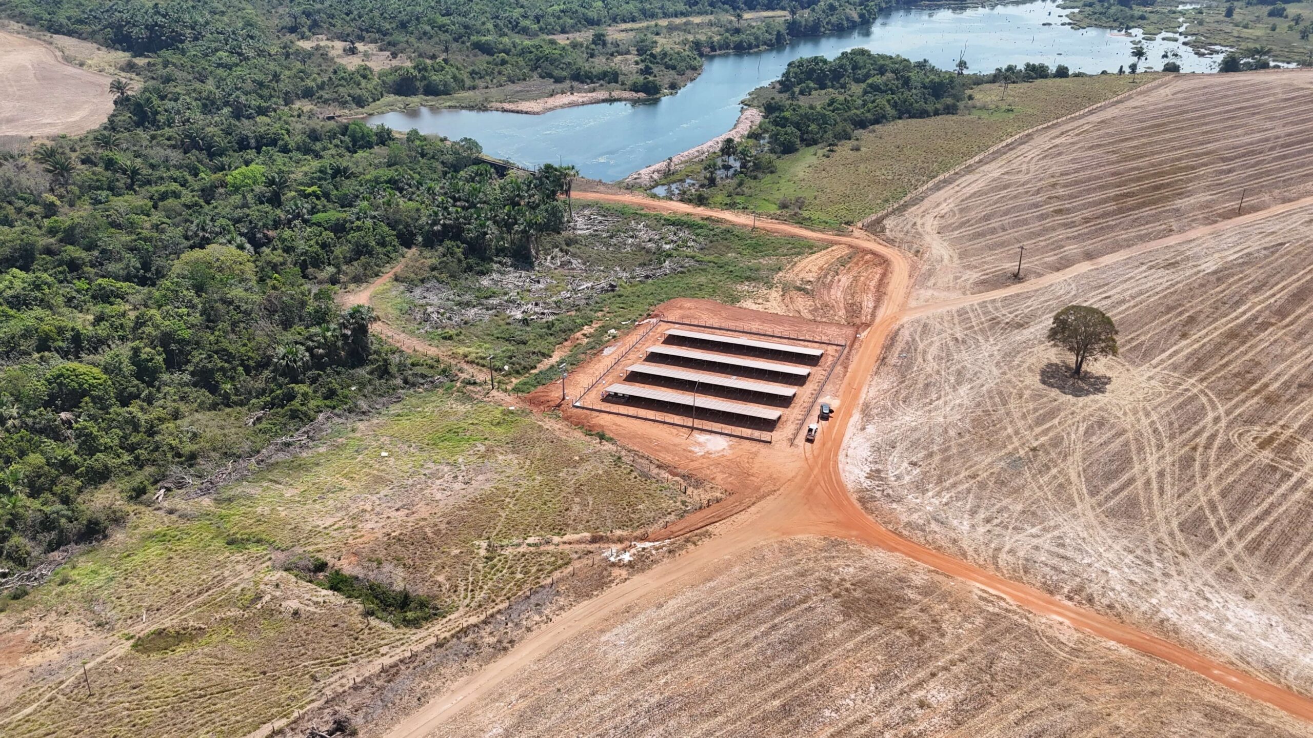 dji_fly_20240815_125956_0129_1724068009360_photo