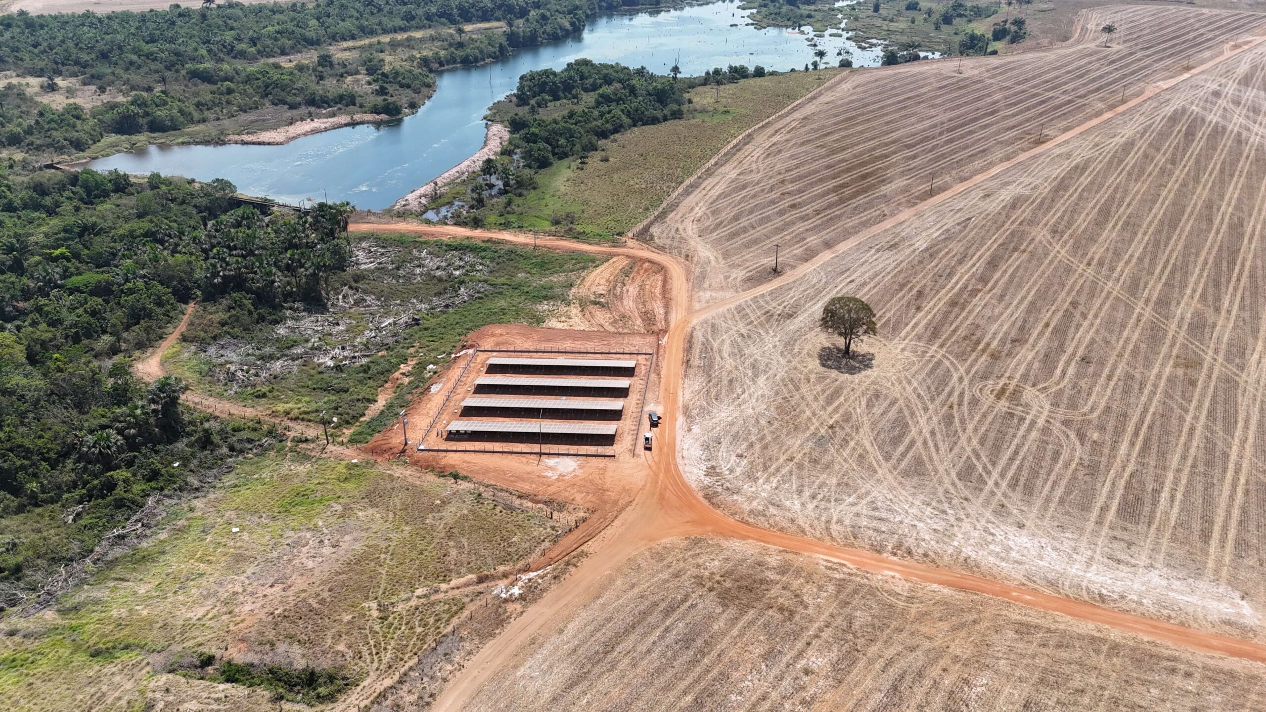 dji_fly_20240815_130010_0130_1724068006026_photo