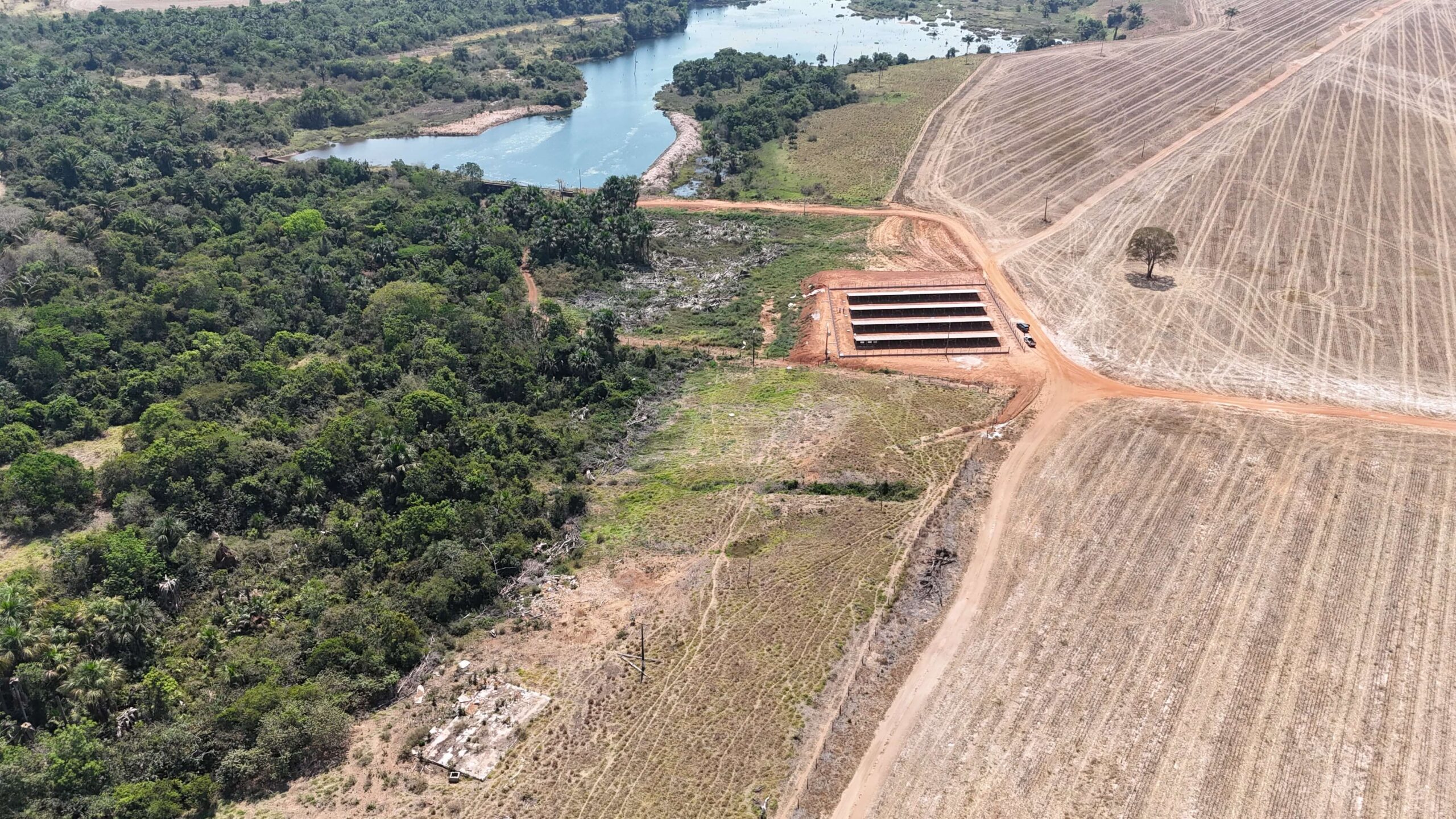 dji_fly_20240815_130050_0133_1724068007156_photo