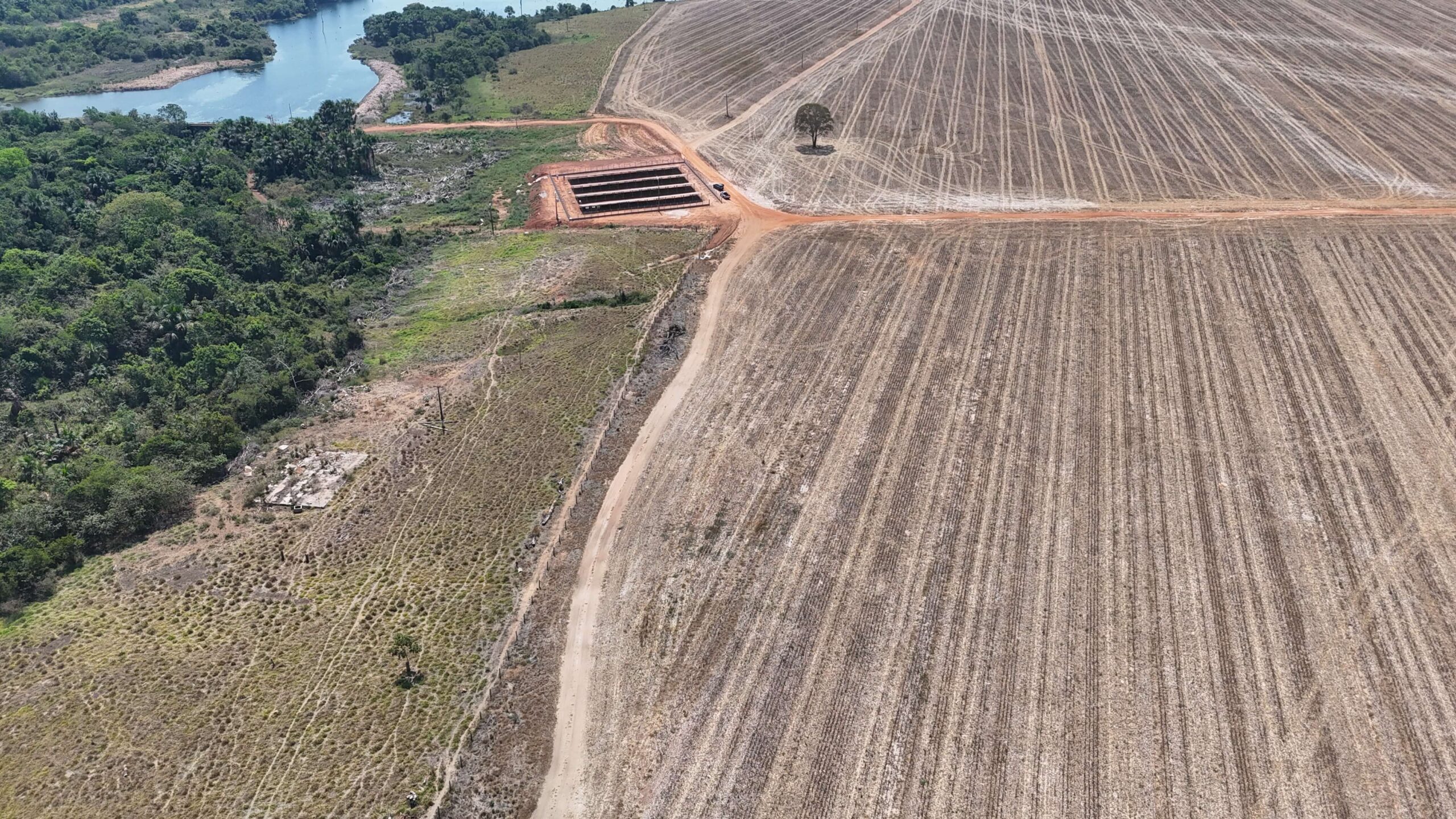 dji_fly_20240815_130104_0134_1724068007519_photo